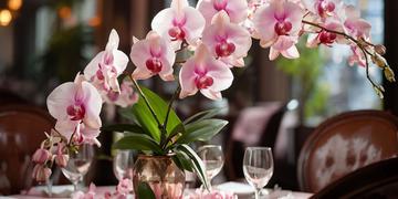 Украшение ресторана цветами и орхидеями: создание уютной атмосферы